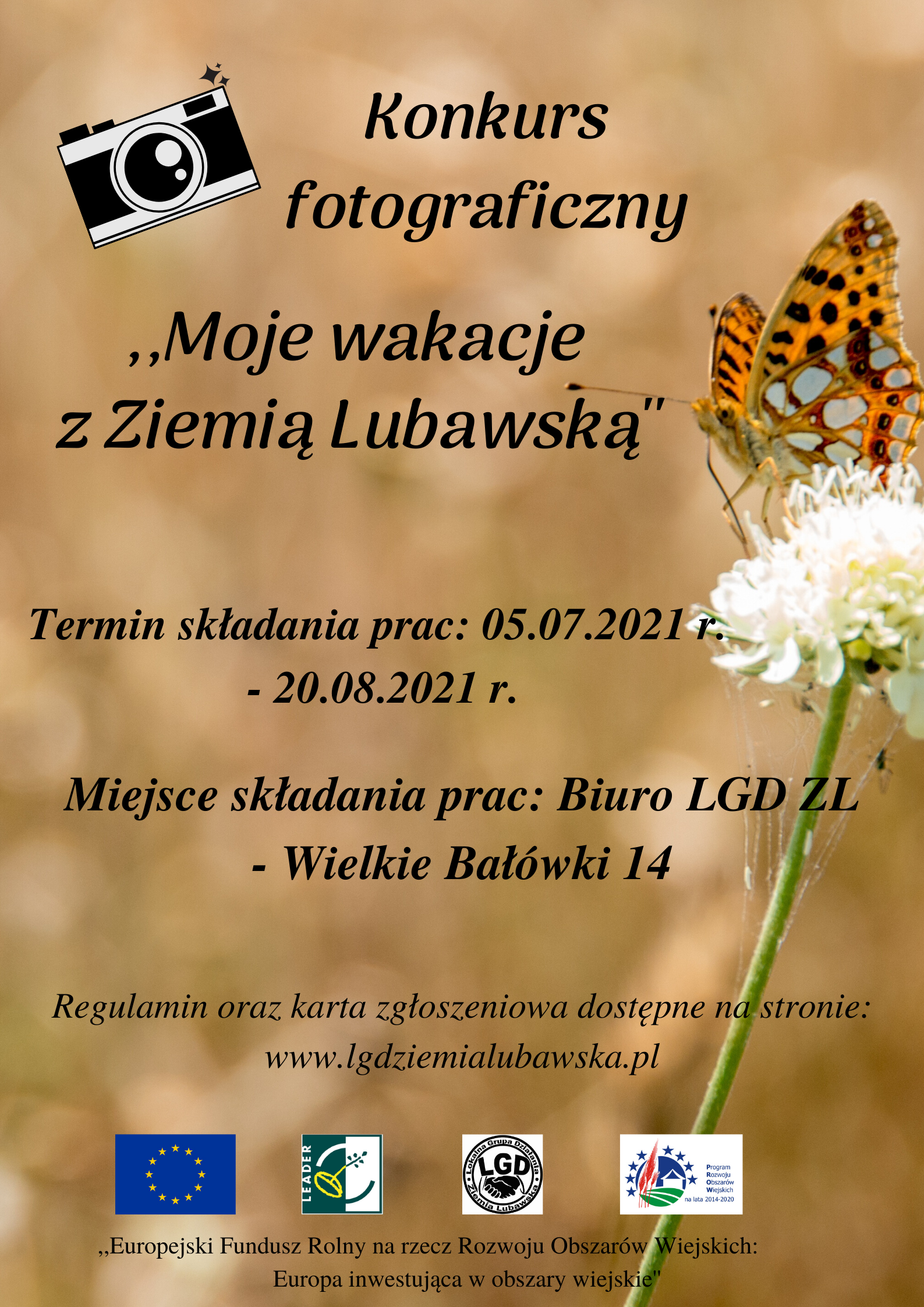 Ilustracja do informacji: Konkurs fotograficzny "Moje wakacje z Ziemią Lubawską"